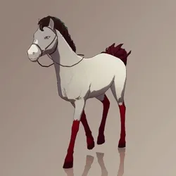 Horse : #2905