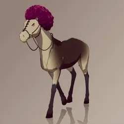Horse : #8202