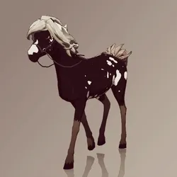 Horse : #3552
