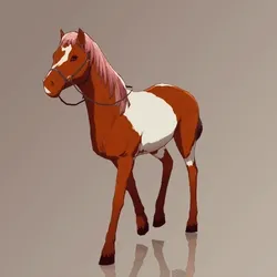 Horse : #1634