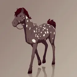 Horse : #4695