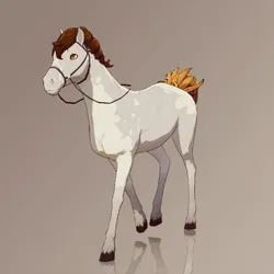 Horse : #5105