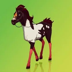 Horse : #4206