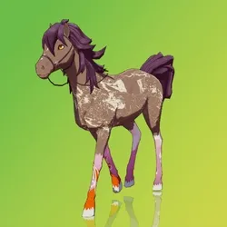 Horse : #4169