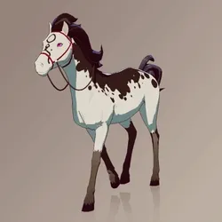Horse : #102567