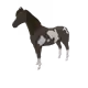 2901