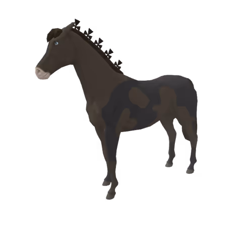 Zkrace Horses