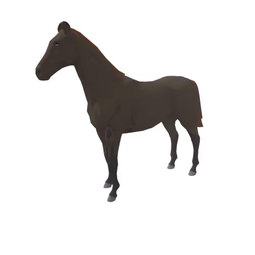 Zkrace Horses