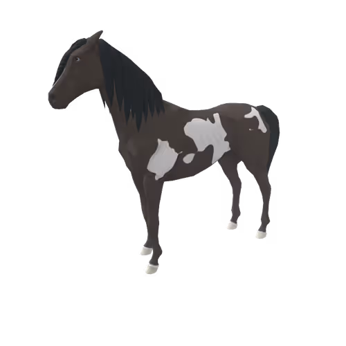 Zkrace Horses