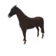 5731