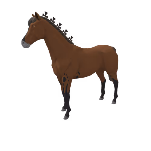 Zkrace Horses