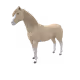 907