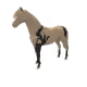 6337