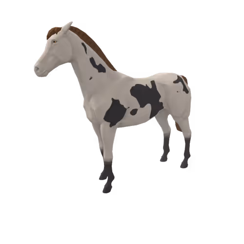 Zkrace Horses
