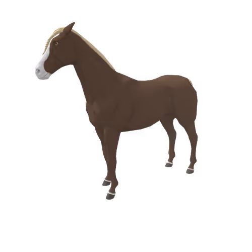 Zkrace Horses