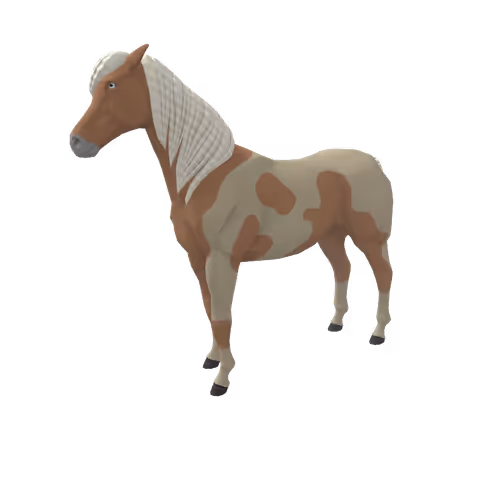 Zkrace Horses