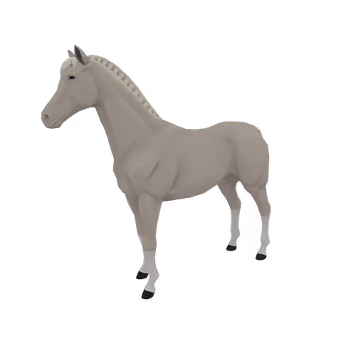 Zkrace Horses