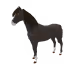 7491