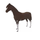 2311