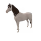 7087