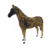 7572