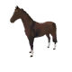 11554