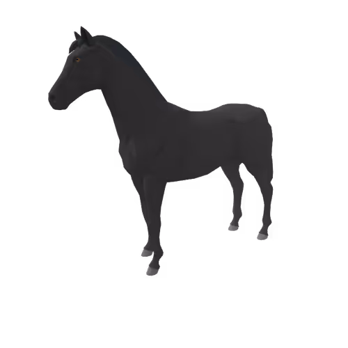 Zkrace Horses