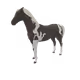2898