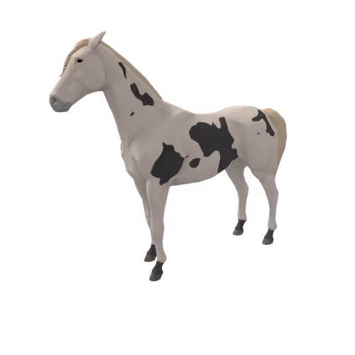 Zkrace Horses