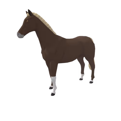 Zkrace Horses