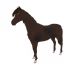 4776