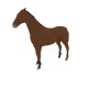4829