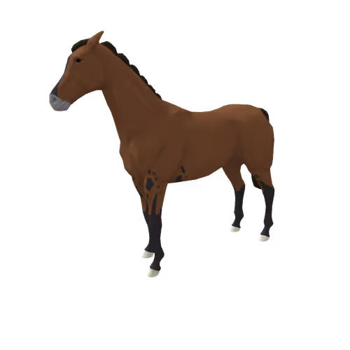 Zkrace Horses