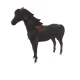 2667