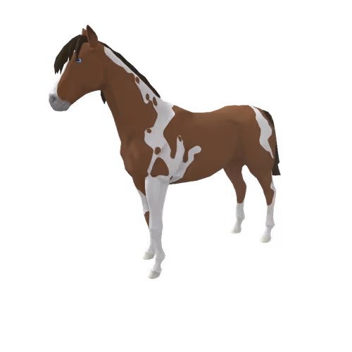 Zkrace Horses