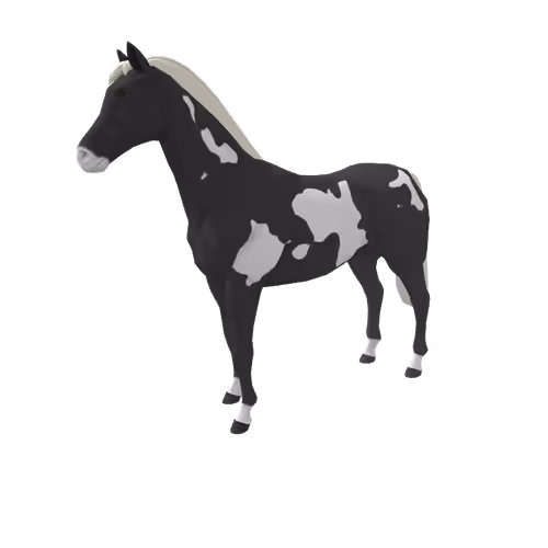 Zkrace Horses