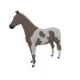 4882