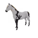 3383