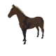 3570