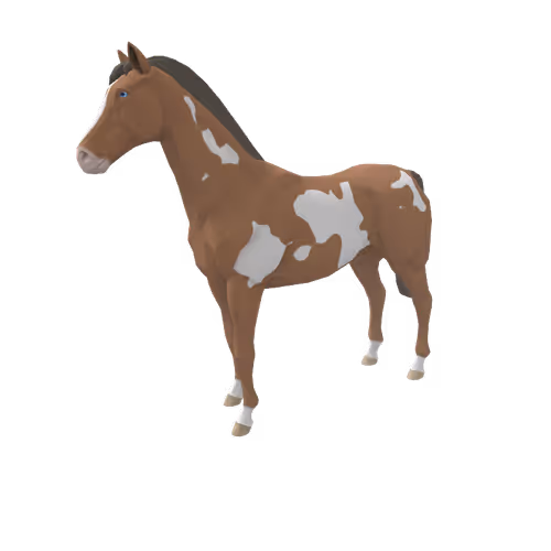 Zkrace Horses