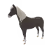 605