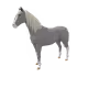 5964