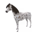2614