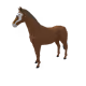 14194