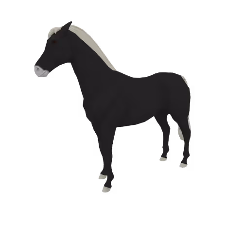 Zkrace Horses