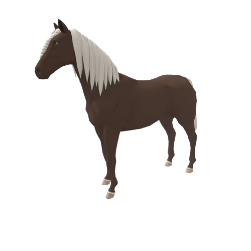 Zkrace Horses