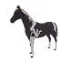 952
