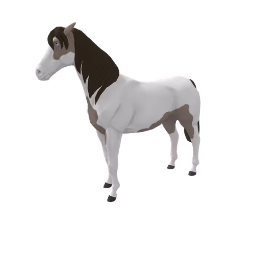 Zkrace Horses