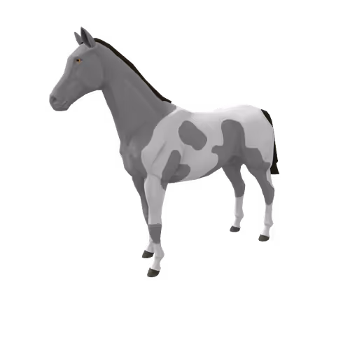 Zkrace Horses