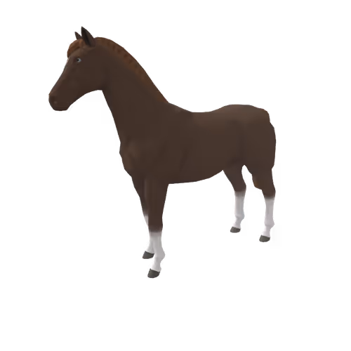 Zkrace Horses
